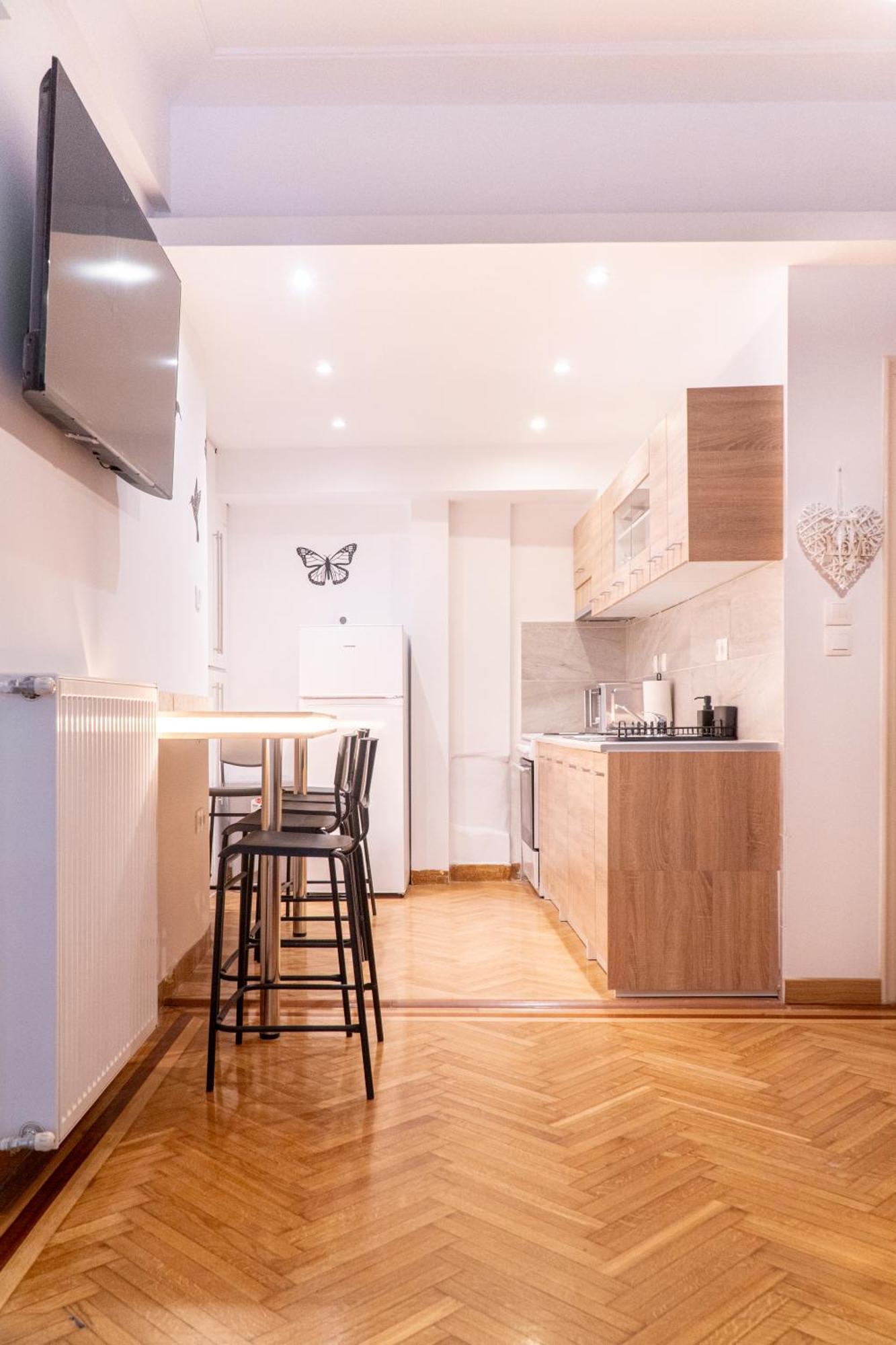 Syntagma Square, 100Sqm Luxurious Family Apt 雅典 外观 照片